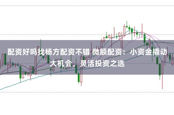 配资好吗找杨方配资不错 微额配资：小资金撬动大机会，灵活投资之选