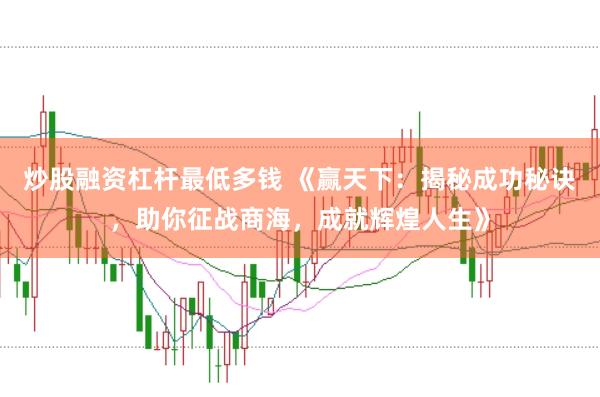 炒股融资杠杆最低多钱 《赢天下：揭秘成功秘诀，助你征战商海，成就辉煌人生》