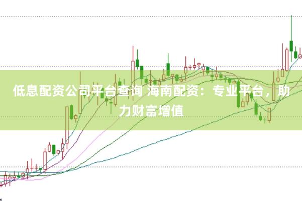 低息配资公司平台查询 海南配资：专业平台，助力财富增值