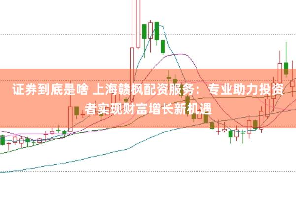 证券到底是啥 上海赣枫配资服务：专业助力投资者实现财富增长新机遇