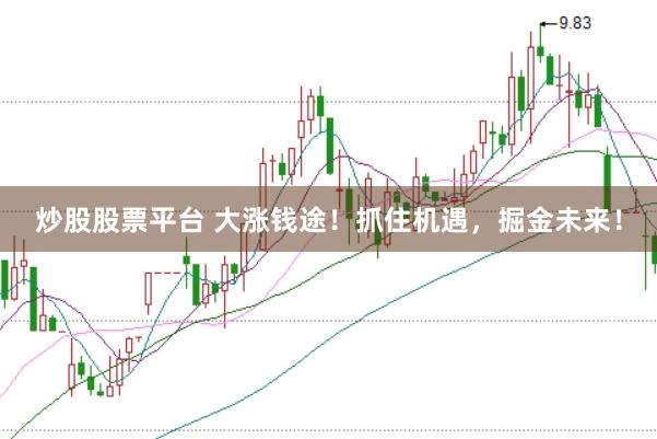 炒股股票平台 大涨钱途！抓住机遇，掘金未来！