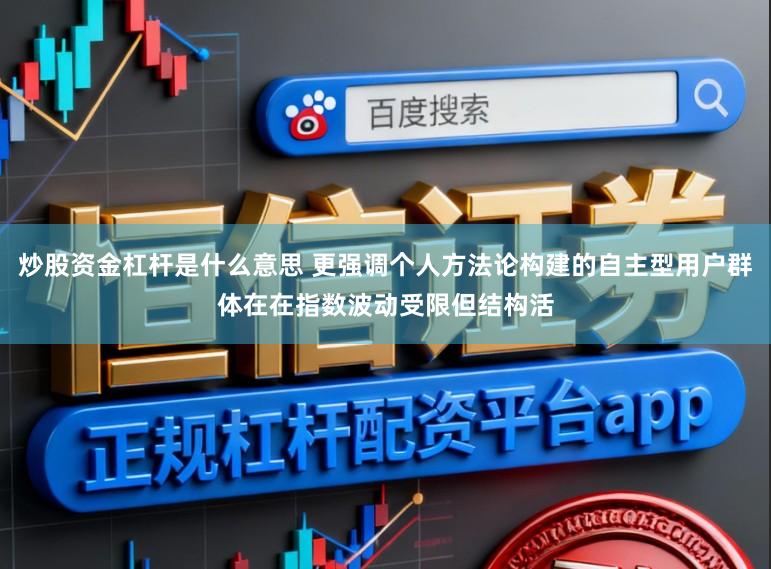 炒股资金杠杆是什么意思 更强调个人方法论构建的自主型用户群体在在指数波动受限但结构活