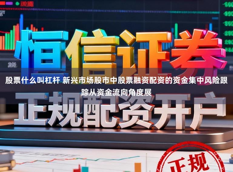 股票什么叫杠杆 新兴市场股市中股票融资配资的资金集中风险跟踪从资金流向角度展